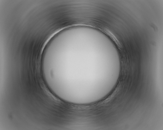 X0000113350884200909151024