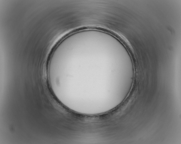 X0000113350887200909151024