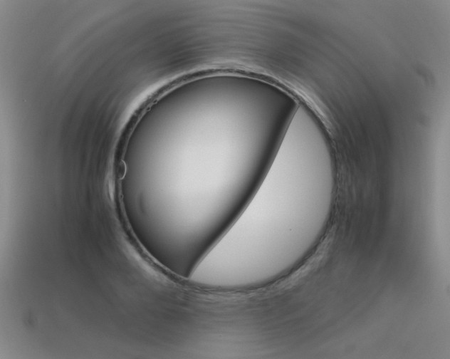 X0000113350888200909151024