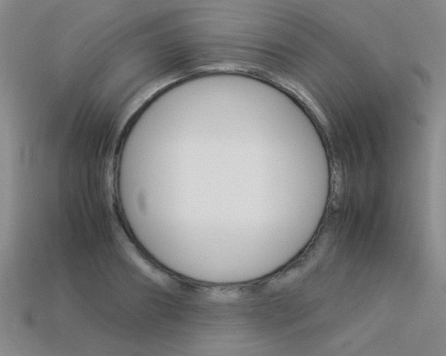 X0000113350890200909151024