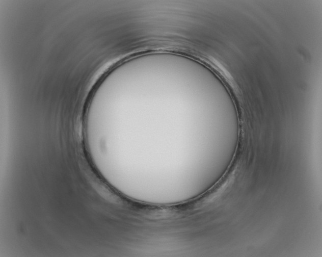 X0000113350891200909151024