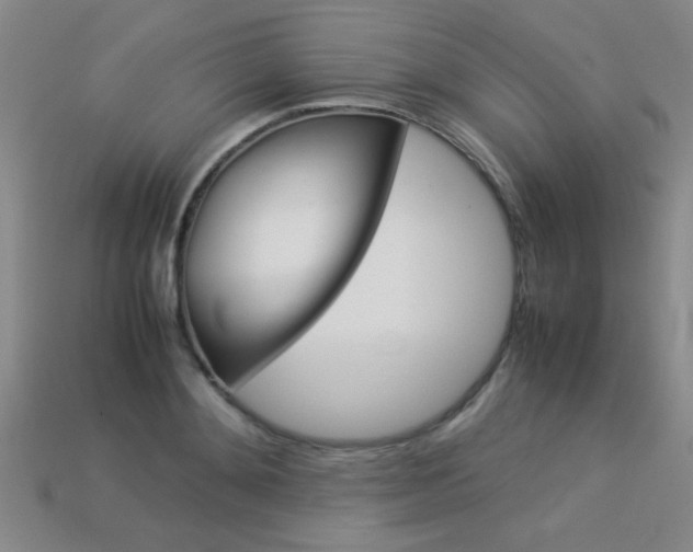 X0000113350892200909151024