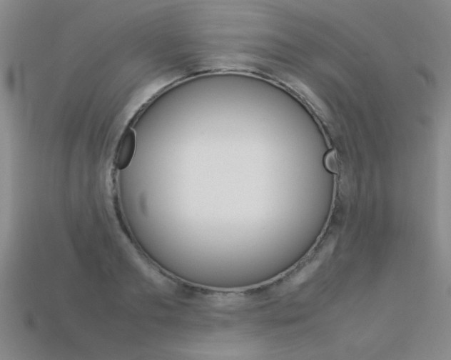 X0000113350893200909151024