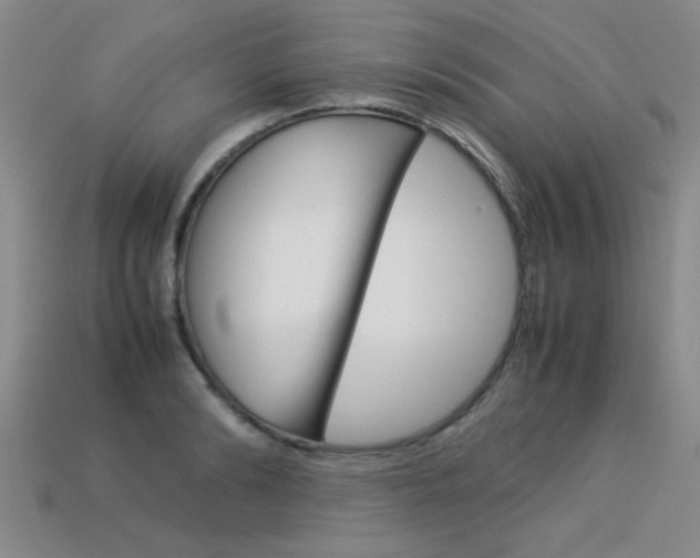 X0000113350894200909151024