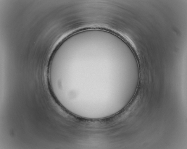 X0000113350895200909151024