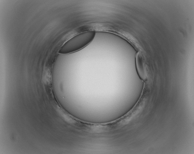 X0000113350897200909151024