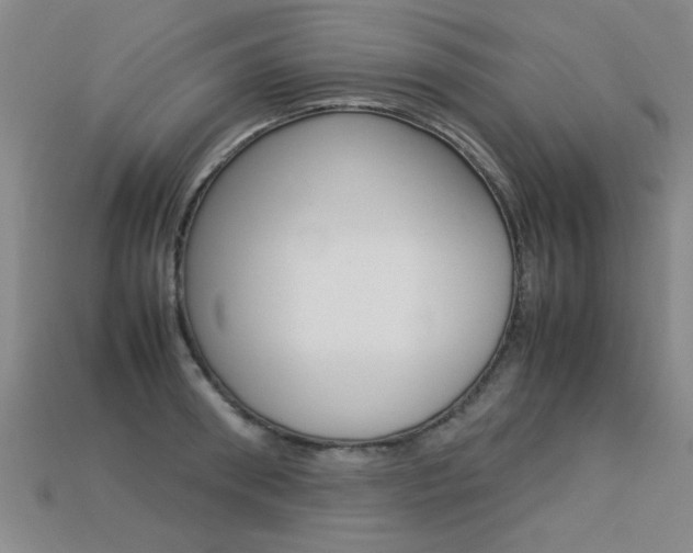 X0000113350898200909151024