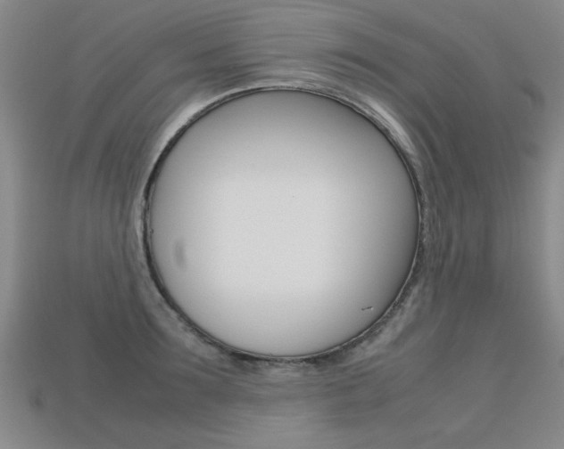 X0000113350899200909151024