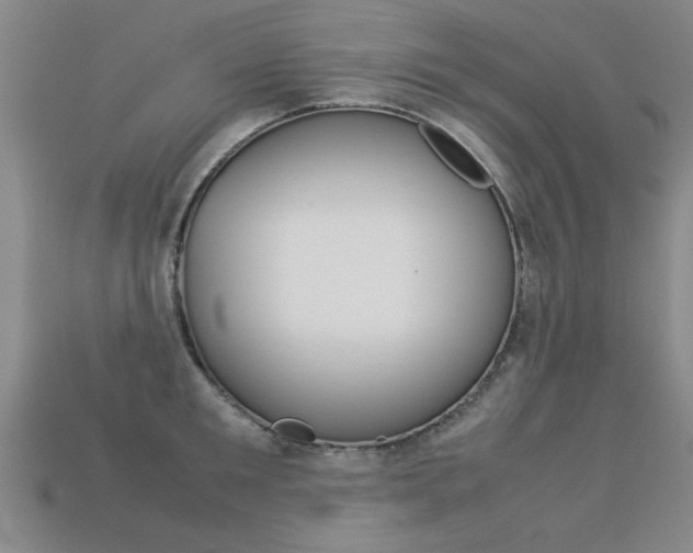 X0000113350901200909151024