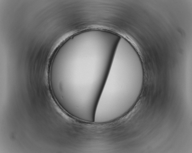X0000113350902200909151024