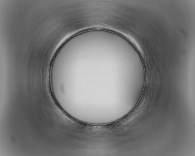 X0000113350903200909151024