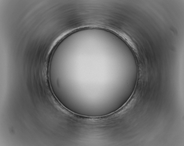 X0000113350904200909151024