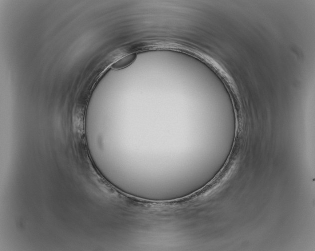 X0000113350905200909151024