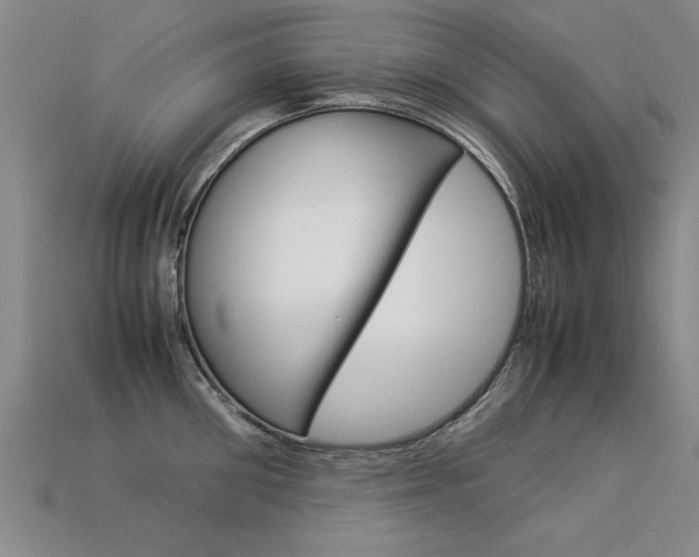 X0000113350906200909151024