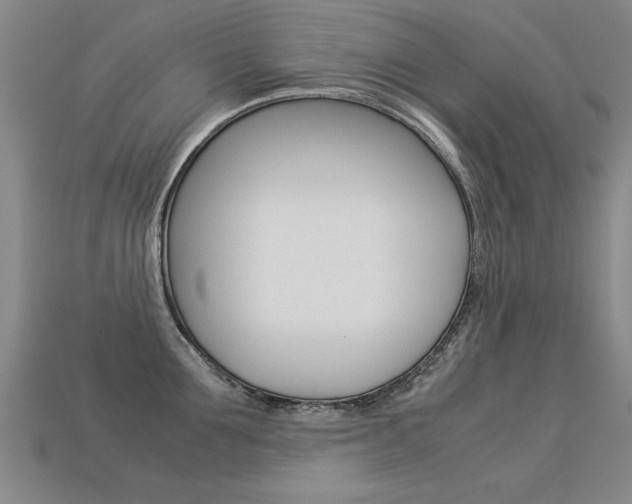 X0000113350907200909151024