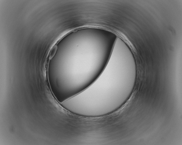X0000113350908200909151024