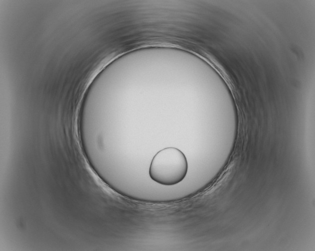 X0000113350909200909151024