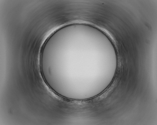X0000113350910200909151023