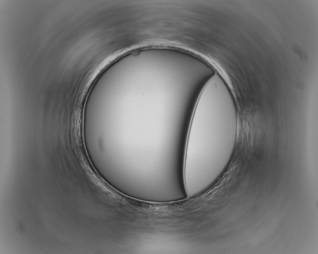 X0000113350911200909151023