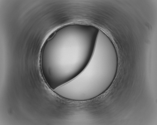 X0000113350912200909151023