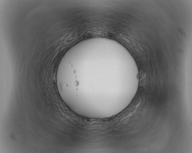 X0000113350913200909151023