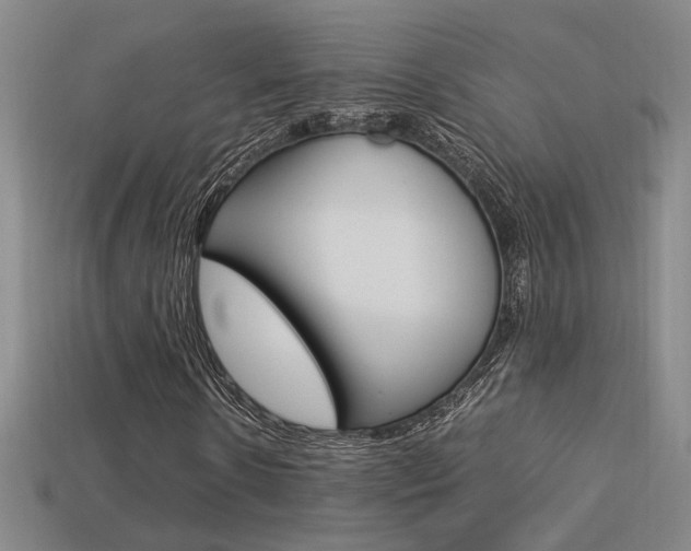 X0000113350914200909151023