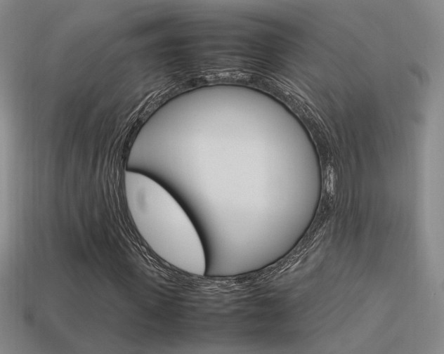 X0000113350915200909151023