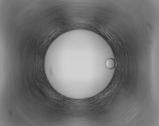 X0000113350916200909151023