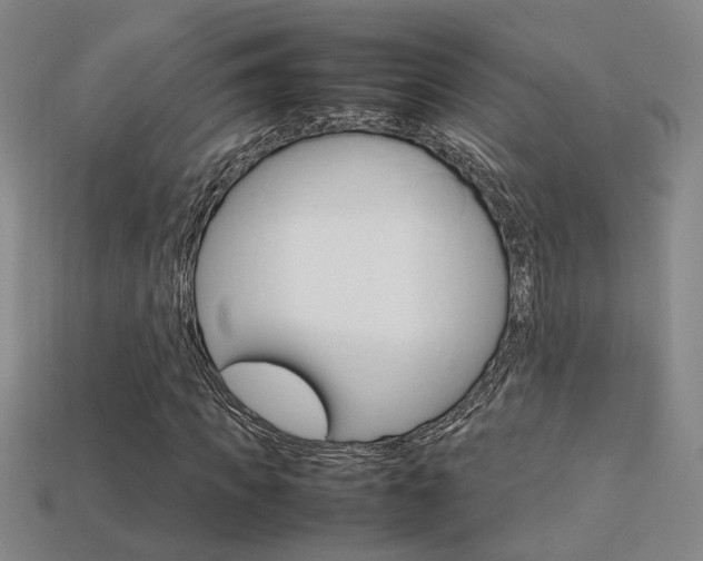 X0000113350917200909151023