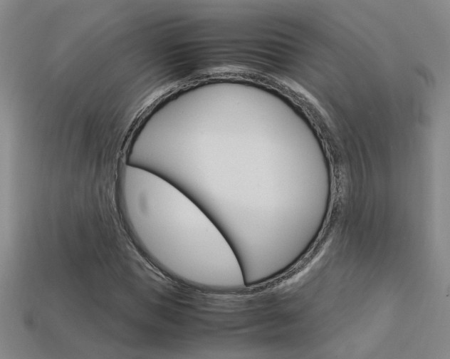 X0000113350921200909151023