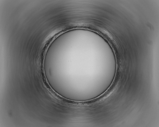 X0000113350922200909151023