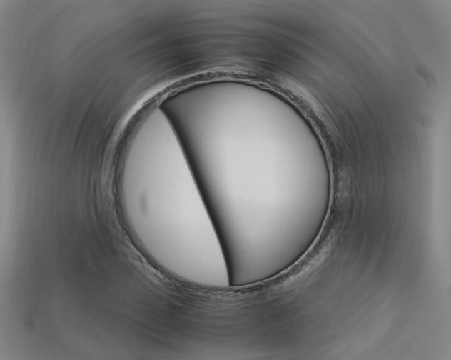 X0000113350923200909151023