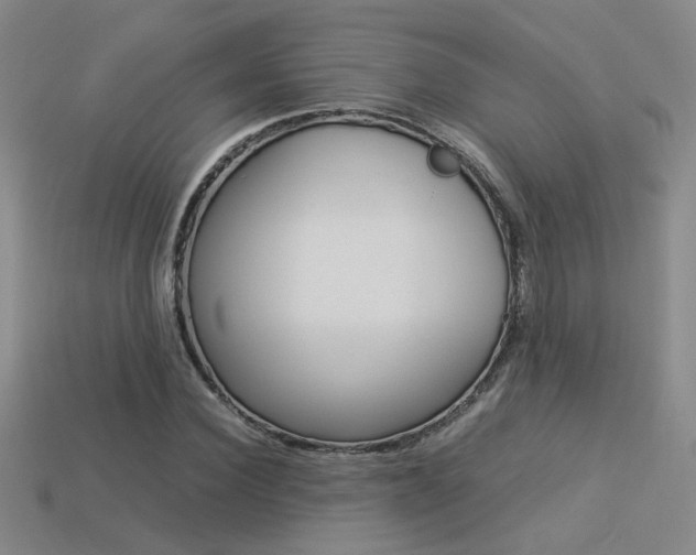 X0000113350924200909151023