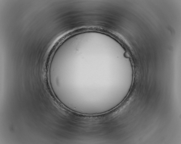 X0000113350927200909151023