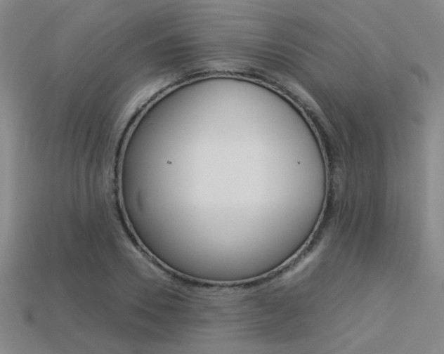 X0000113350930200909151023