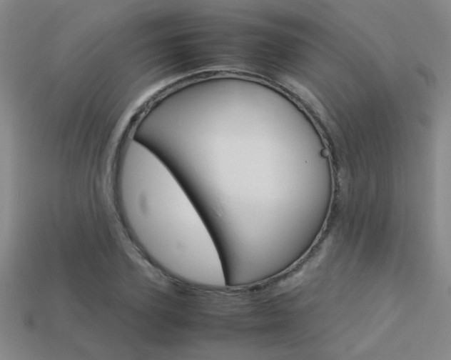 X0000113350931200909151023