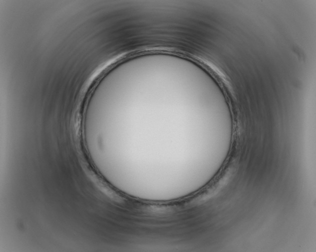 X0000113350933200909151023