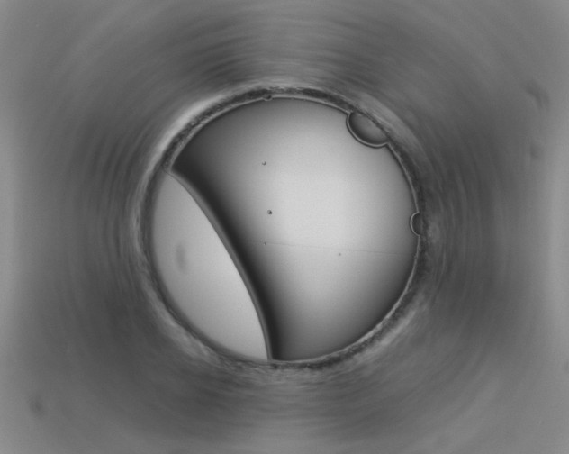 X0000113350934200909151023