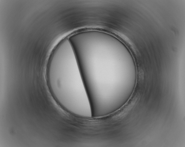 X0000113350935200909151023