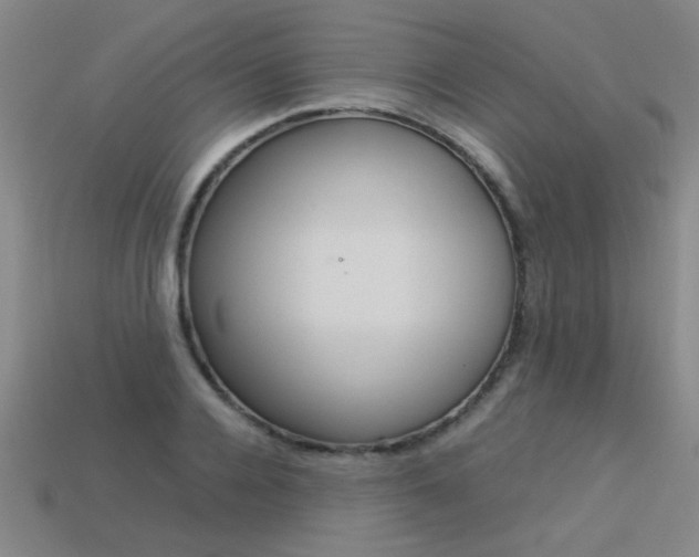 X0000113350936200909151023
