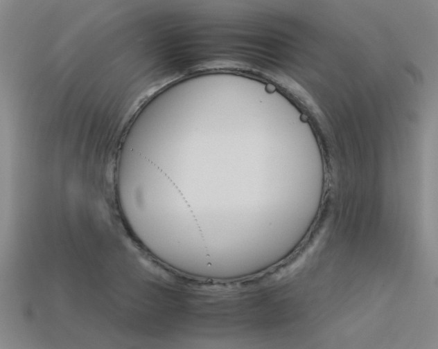 X0000113350937200909151023