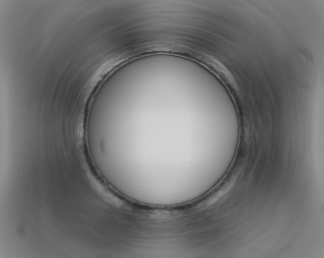 X0000113350938200909151023