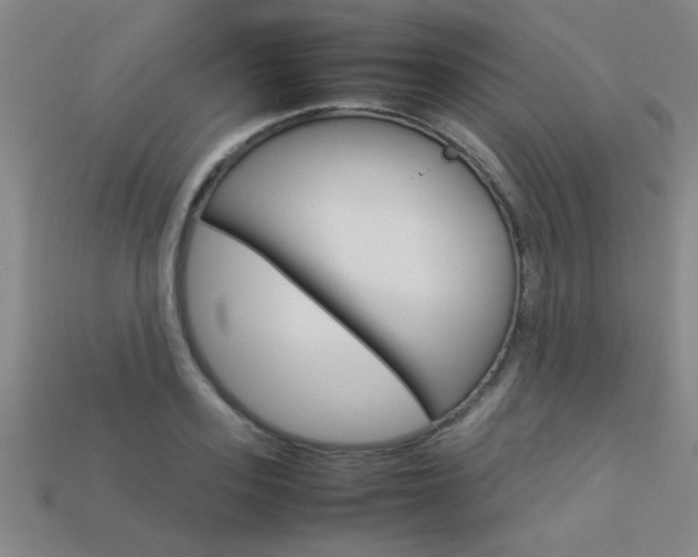 X0000113350939200909151023