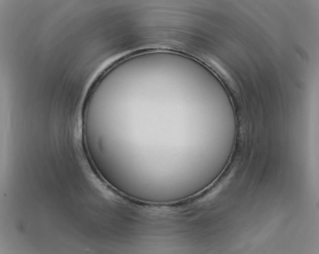 X0000113350940200909151023