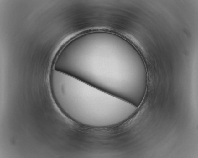 X0000113350943200909151023