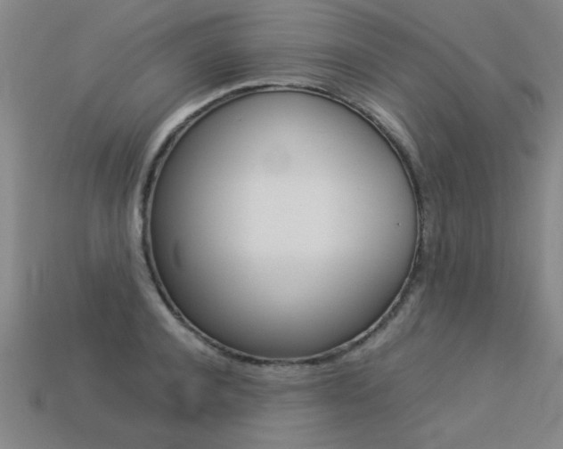X0000113350944200909151023