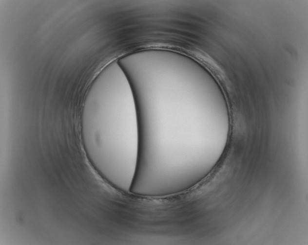 X0000113350945200909151023
