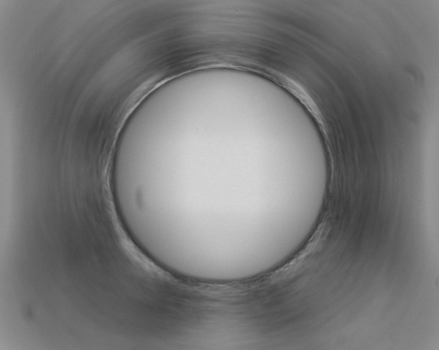 X0000113350946200909151023