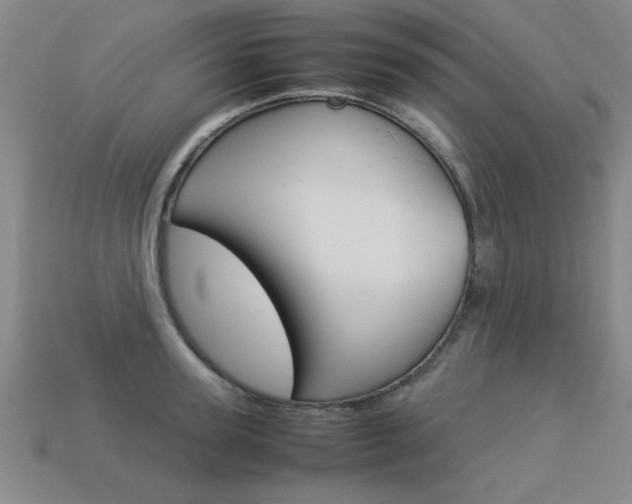 X0000113350947200909151023