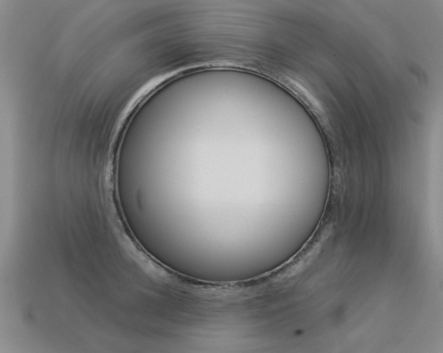 X0000113350948200909151023